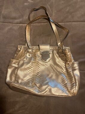 Metallic Gold Python-Texture purse